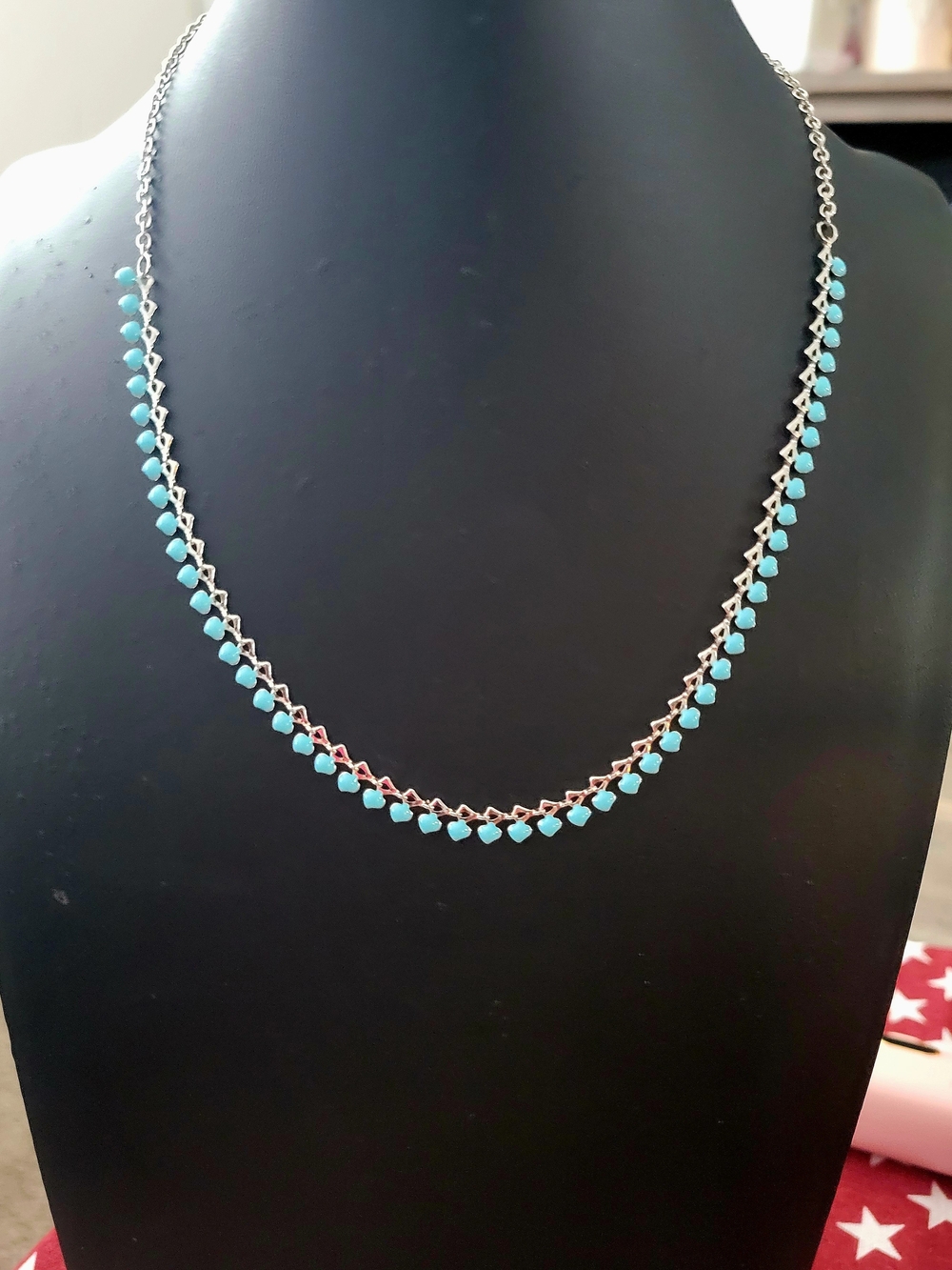 Paparazzi Silver & Turquoise Enamel Necklace